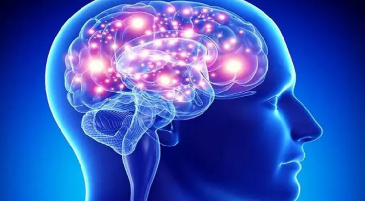 مغز وعوامل موثر در سلامت آن